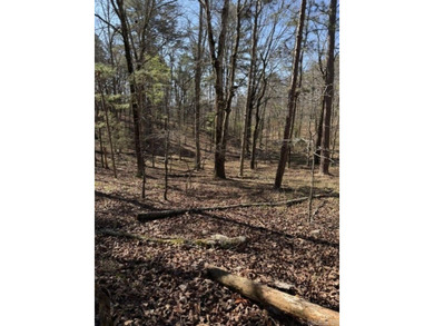 Wooded 5.39+/- acres ready for your dream home in a quiet - photo 5