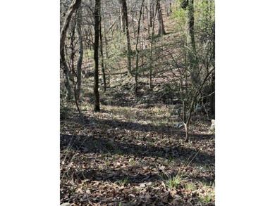 Wooded 5.39+/- acres ready for your dream home in a quiet - photo 9