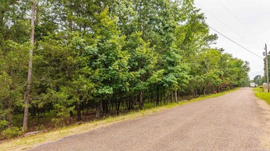 Wooded 5.39+/- acres ready for your dream home in a quiet - photo 10