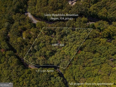 Lake Lot For Sale in Jasper, Georgia