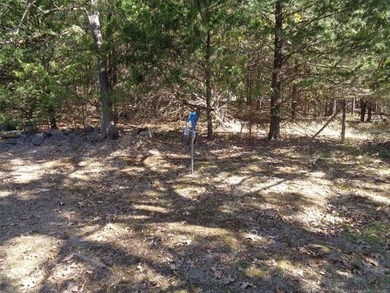 Affordable Lakeside Getaway with Add-On Space & Great Potential! - photo 6