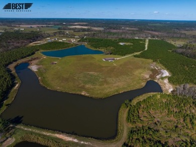 (private lake, pond, creek) Home For Sale in Vidalia Georgia