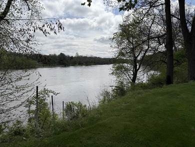 Riverfront Property! Welcome to 22016 W Rt 113, Wilmington, IL - photo 4