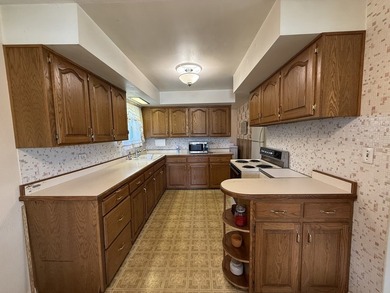 Riverfront Property! Welcome to 22016 W Rt 113, Wilmington, IL - photo 7