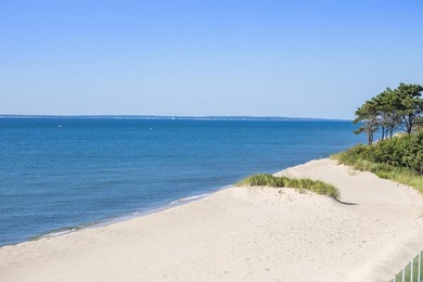 This exquisite custom-built home in the coveted New Seabury - photo 49