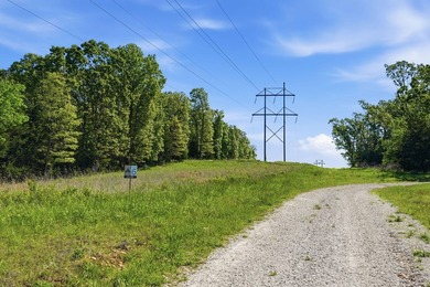 Welcome to Arrow Head Estates, where natural beauty and - photo 4