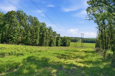 Welcome to Arrow Head Estates, where natural beauty and - photo 5
