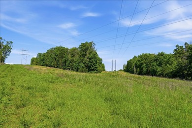 Welcome to Arrow Head Estates, where natural beauty and - photo 6