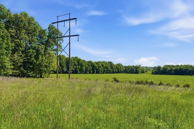Welcome to Arrow Head Estates, where natural beauty and - photo 7
