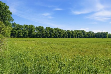 Welcome to Arrow Head Estates, where natural beauty and - photo 9