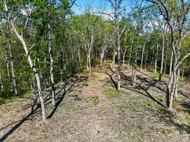 5 Acres Right Off Hwy MM | High Drive Frontage | Build-Ready | - photo 10