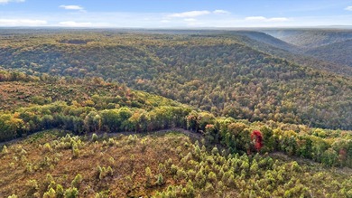 (private lake, pond, creek) Acreage For Sale in Spencer Tennessee