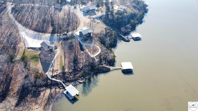This 3-bedroom, 2.5-bath lakefront home offers over 2,000 square - photo 50