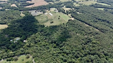 Discover the possibilities on this stunning 40 acre m/l located - photo 2
