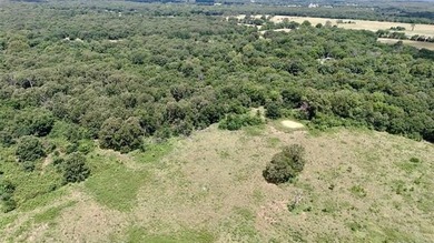Discover the possibilities on this stunning 40 acre m/l located - photo 4