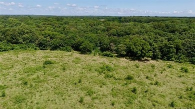 Discover the possibilities on this stunning 40 acre m/l located - photo 7