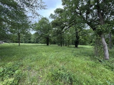 Lake Lot For Sale in Emory, Texas
