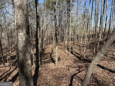 Your Lake Wedowee dream starts here. This 0.84 acre waterfront - photo 4