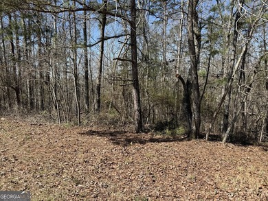 Your Lake Wedowee dream starts here. This 0.84 acre waterfront - photo 5