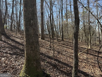 Your Lake Wedowee dream starts here. This 0.84 acre waterfront - photo 6