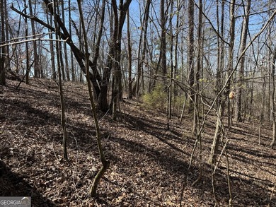 Your Lake Wedowee dream starts here. This 0.84 acre waterfront - photo 7