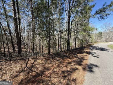 Your Lake Wedowee dream starts here. This 0.84 acre waterfront - photo 8