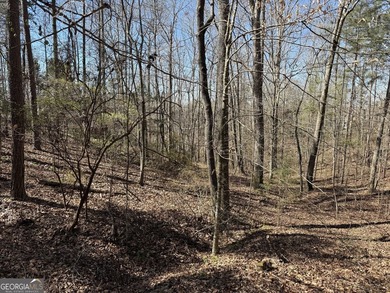 Your Lake Wedowee dream starts here. This 0.84 acre waterfront - photo 9