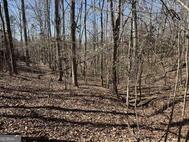 Your Lake Wedowee dream starts here. This 0.84 acre waterfront - photo 10