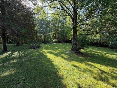 ARE YOU LOOKING TO BUILD? OR JUST NEED SOME LAND TO PLAY AROUND - photo 3