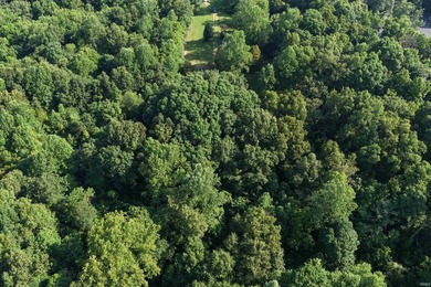 ARE YOU LOOKING TO BUILD? OR JUST NEED SOME LAND TO PLAY AROUND - photo 4