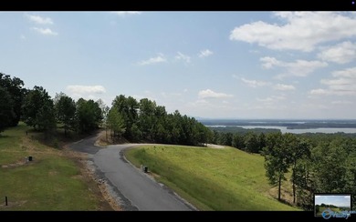 Enjoy extravagant views from this lot within this gated - photo 4