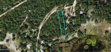 Lake Lot For Sale in Keystone Heights, Florida