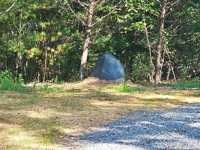 JUST REDUCED! Welcome home to this Brand-New 2BR/2BA Cabin