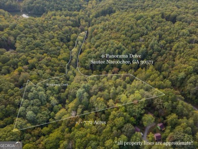 Lake Acreage For Sale in Sautee Nacoochee, Georgia