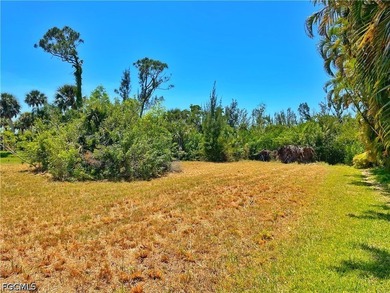 PINE ISLAND LIVING ON ALDEN PINES GOLF COURSE - Build your dream - photo 2