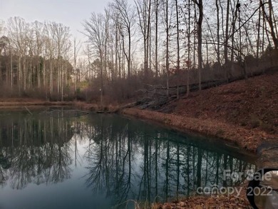 (private lake, pond, creek) Acreage For Sale in Newton North Carolina