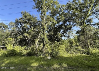 SPORTSMAN'S PARADISE! Spacious 0.53-acre lot in Ocean Springs - photo 3