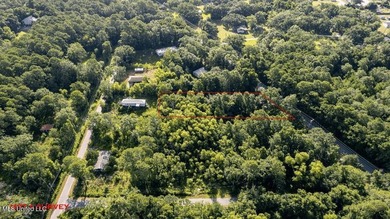 SPORTSMAN'S PARADISE! Spacious 0.53-acre lot in Ocean Springs - photo 4