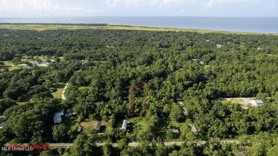 SPORTSMAN'S PARADISE! Spacious 0.53-acre lot in Ocean Springs - photo 5