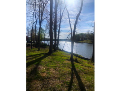 Live the lake life in South Carolina! This gorgeous lake front - Lake Lot For Sale in Greenwood, South Carolina