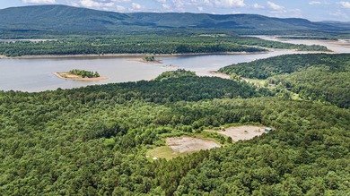 Blue Mountain Lake  Acreage For Sale in Magazine Arkansas