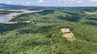 Discover 12 secluded acres near Magazine offering excellent - photo 3