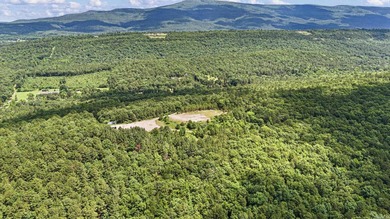 Discover 12 secluded acres near Magazine offering excellent - photo 5