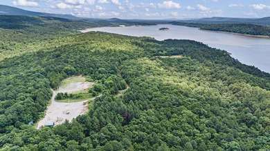 Discover 12 secluded acres near Magazine offering excellent - photo 8