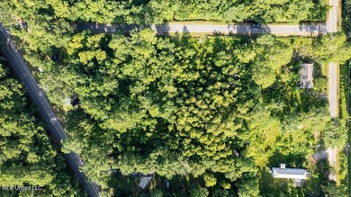 COASTAL LIVING MADE EASY! Build your vision on this 0.52-acre - photo 2