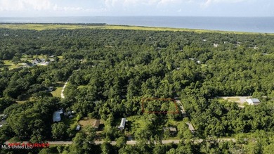 COASTAL LIVING MADE EASY! Build your vision on this 0.52-acre - photo 3