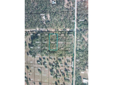 Suwannee River Lot For Sale in Branford Florida