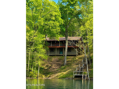 Rare lakefront log cabin on the Sevier County side of Douglas - photo 8