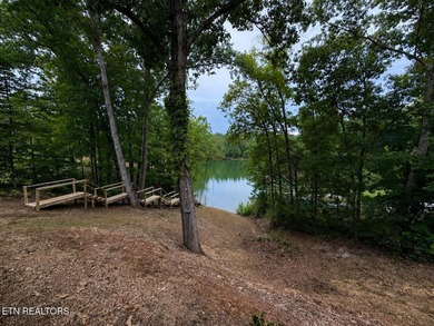 Rare lakefront log cabin on the Sevier County side of Douglas - photo 9