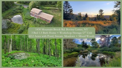 Lake Home For Sale in Bovina, New York